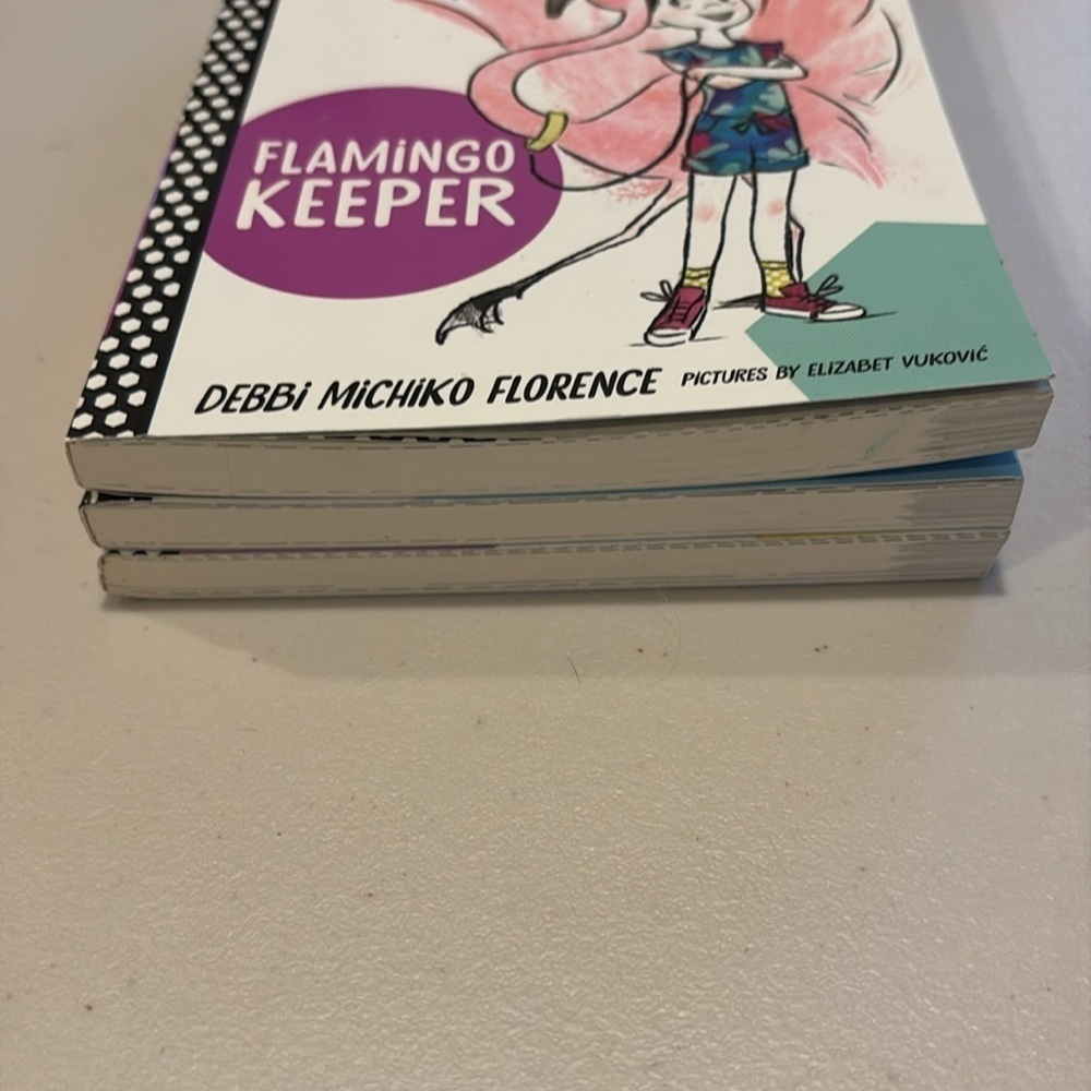 Jasmine Toguchi Book Set - Colorful Covers - Picture 2 of 11